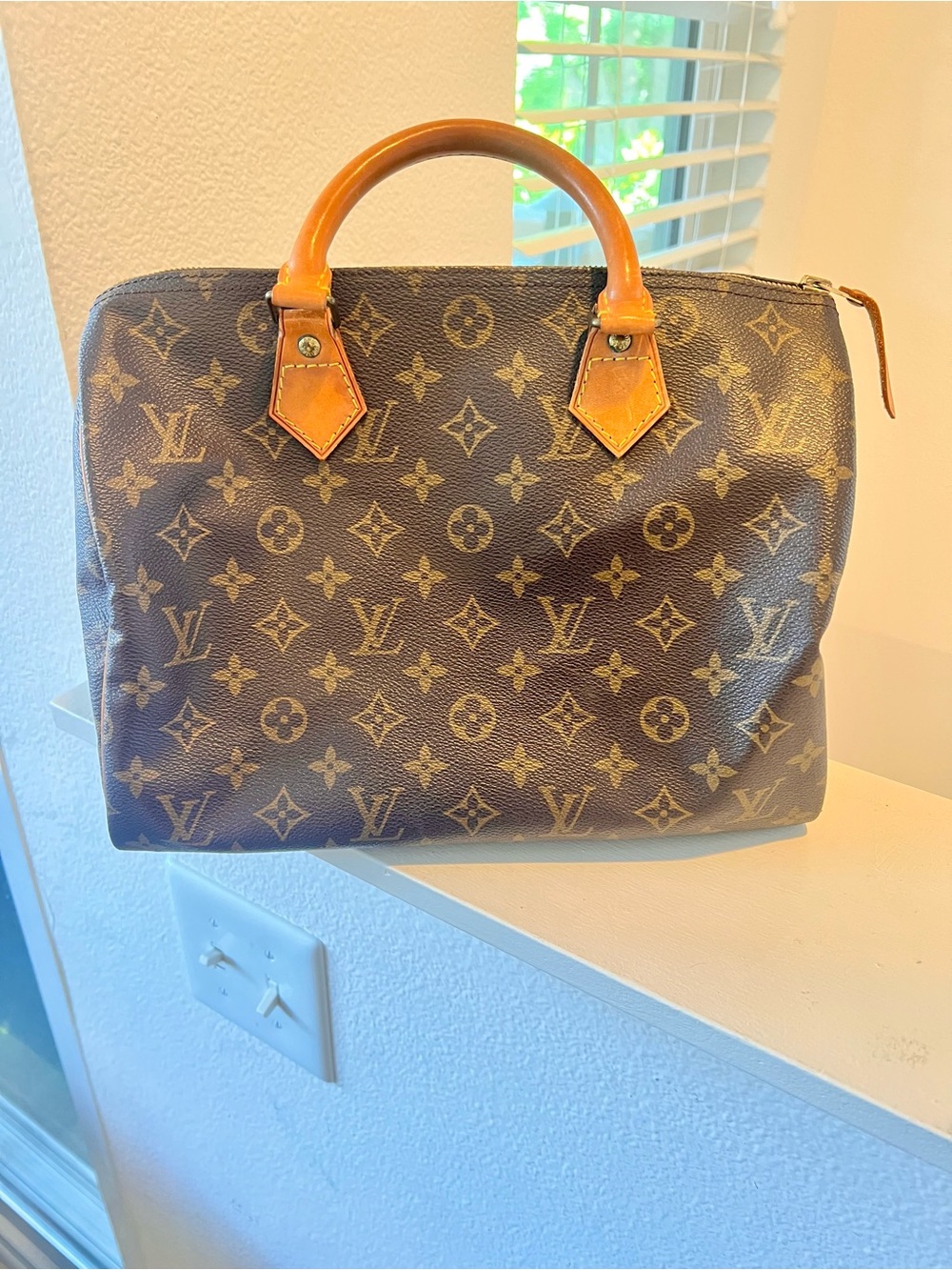 Louis Vuitton Monogram Canvas Speedy 30 Handbag in Brown